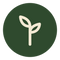 Plant & Natural Ingredients